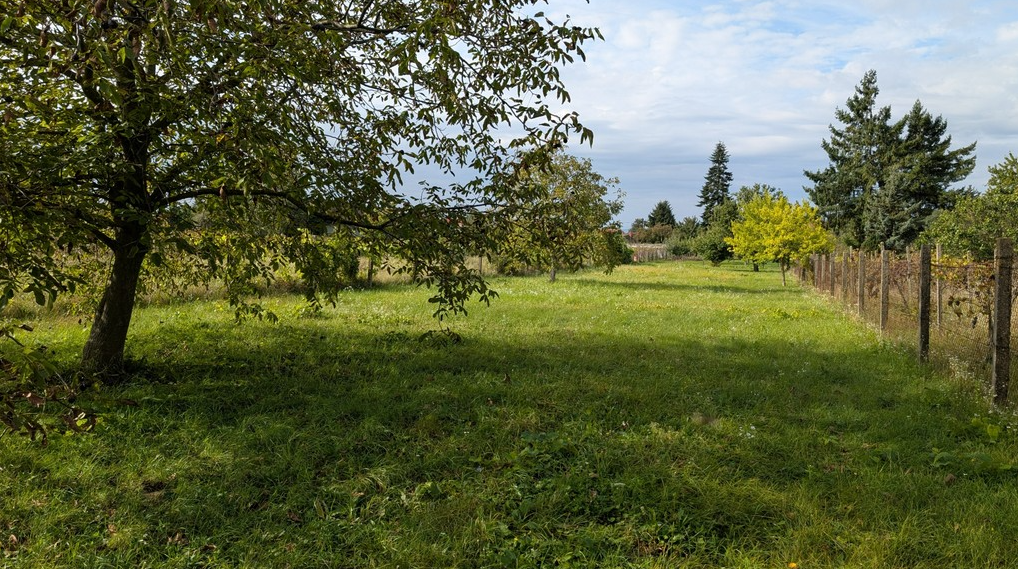 property6a94e35874d33