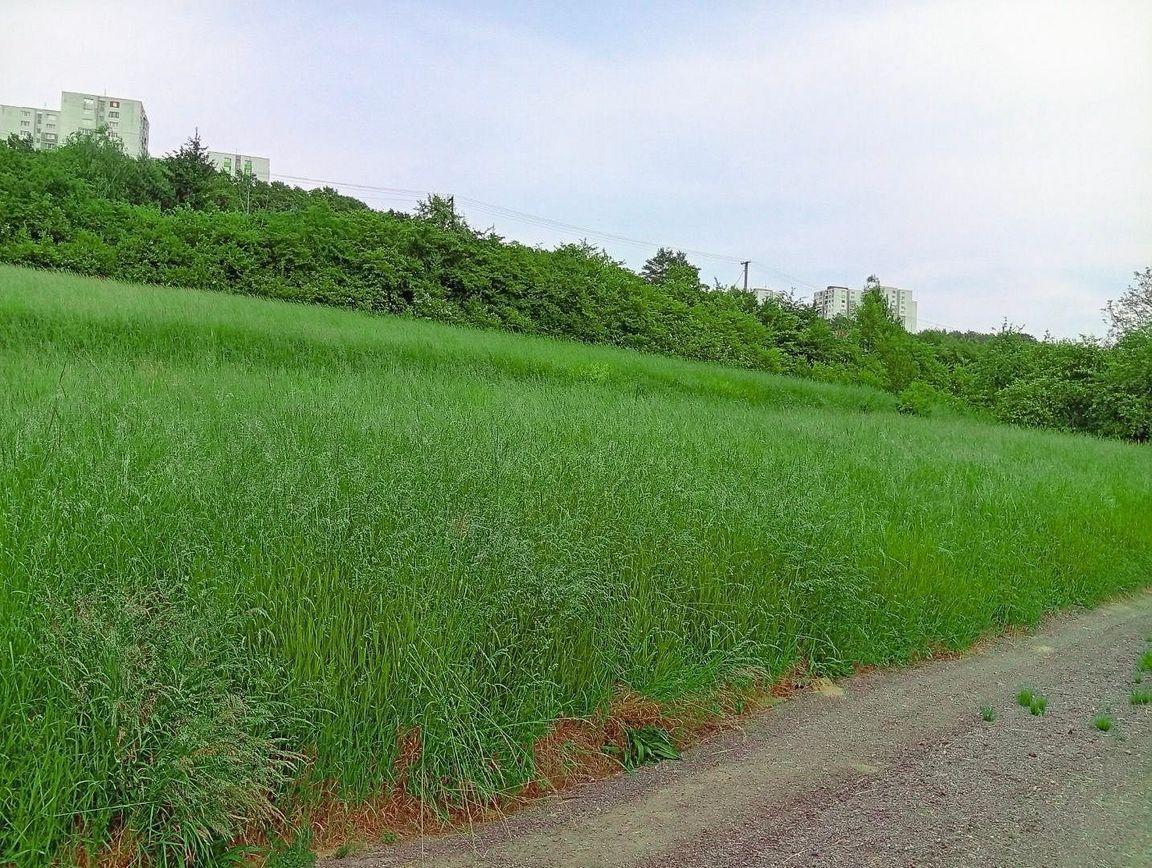 property6a94e3a64d632