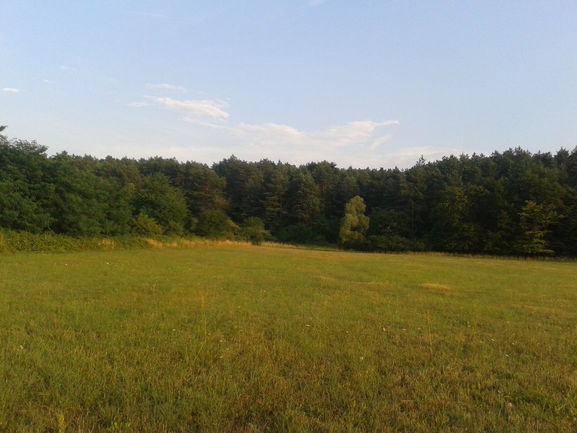 property6a94e3a9f3151